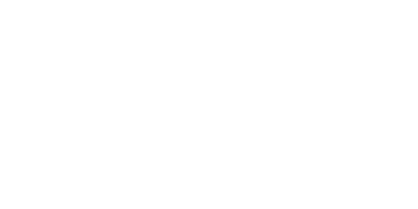 Boston Scientific